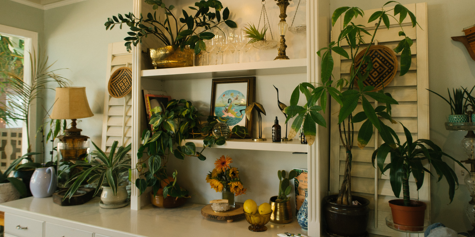 Indoor Plant Pots & Decorative Plants for Modern Homes | The Decor Now