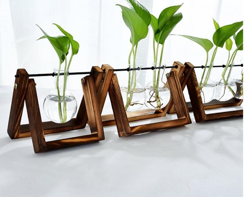 Modern Glass Tabletop Plant Vase