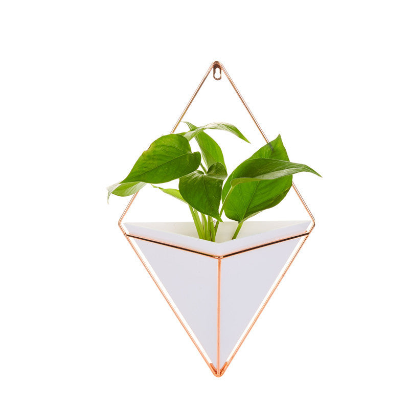 Modern Metal Wall-Mounted Flower Pots