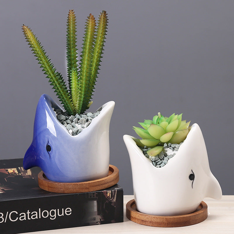 Creative Cartoon Ceramic Succulent Pot