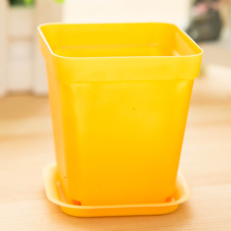 Mini Colorful Plastic Flower Pots with Tray