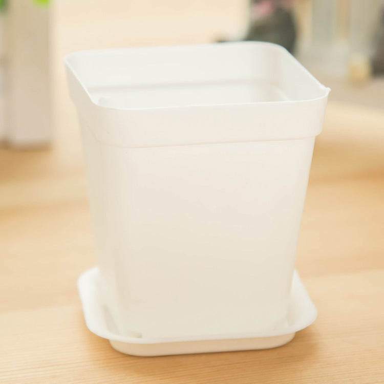 Mini Colorful Plastic Flower Pots with Tray