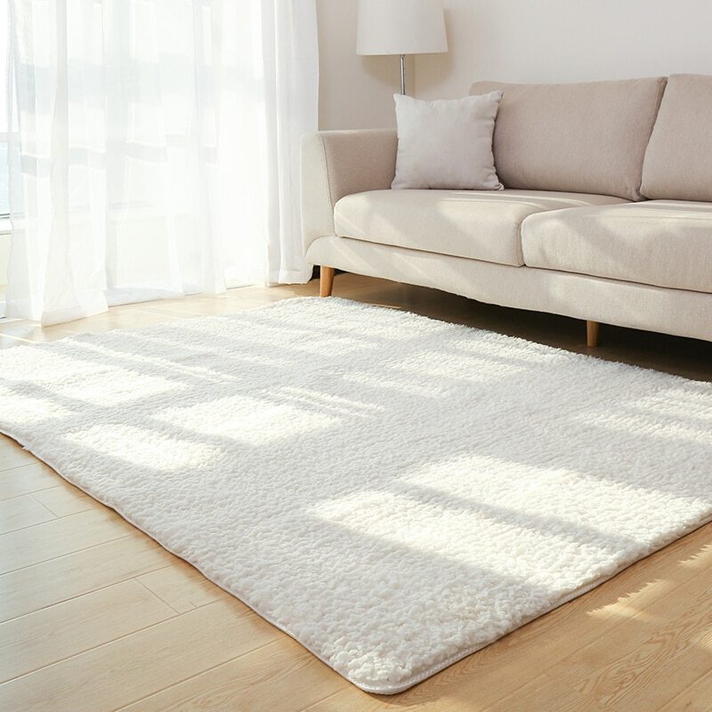Soft Fluffy Area Rug
