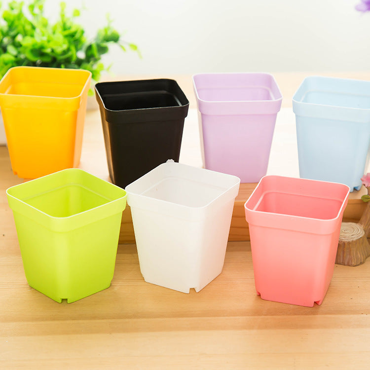 Mini Colorful Plastic Flower Pots with Tray