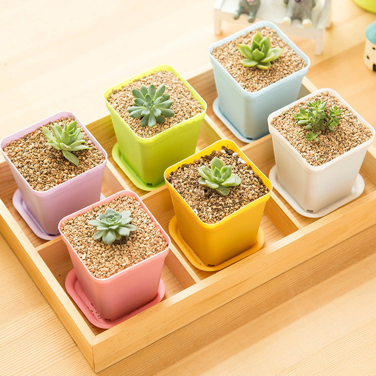 Mini Colorful Plastic Flower Pots with Tray