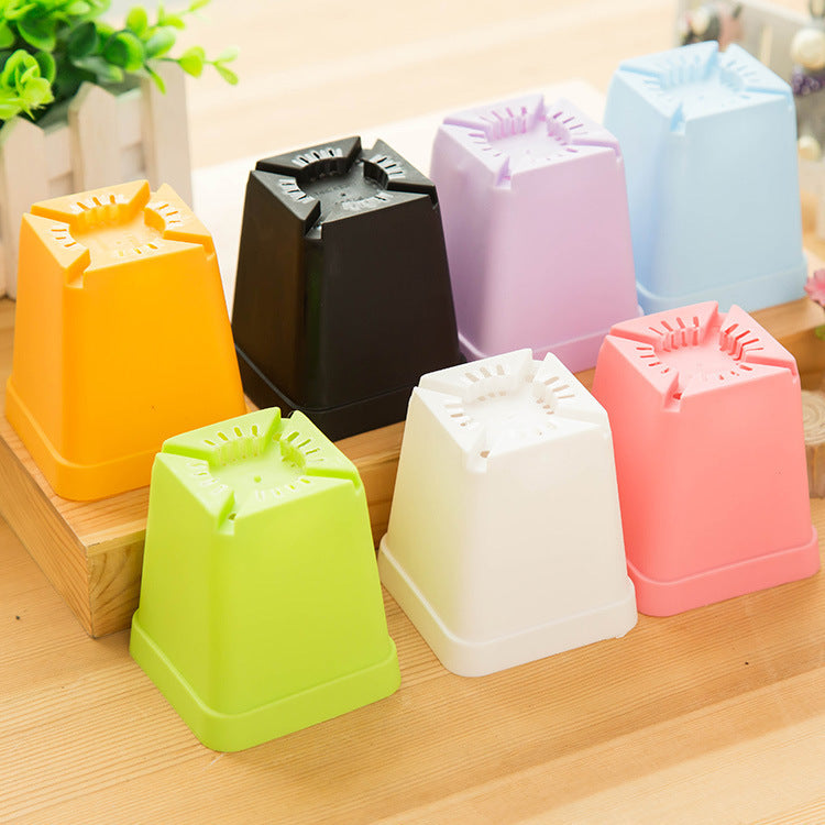 Mini Colorful Plastic Flower Pots with Tray
