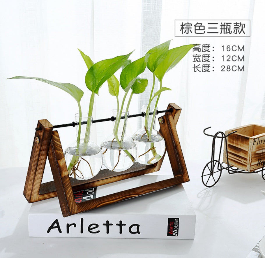 Modern Glass Tabletop Plant Vase