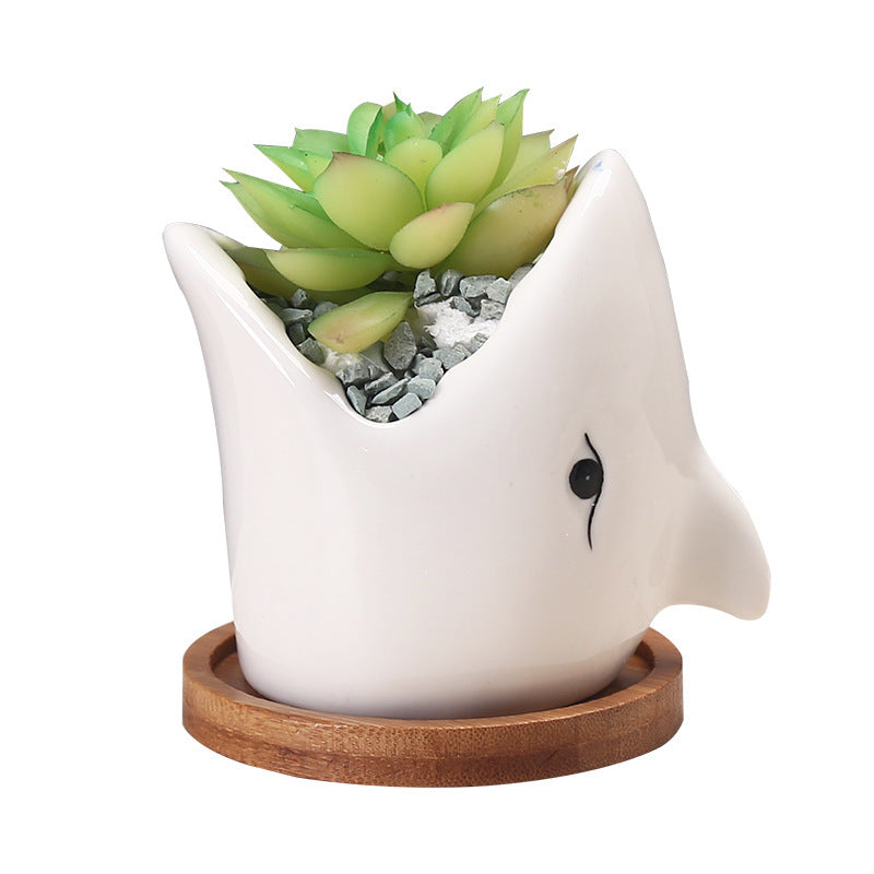 Creative Cartoon Ceramic Succulent Pot
